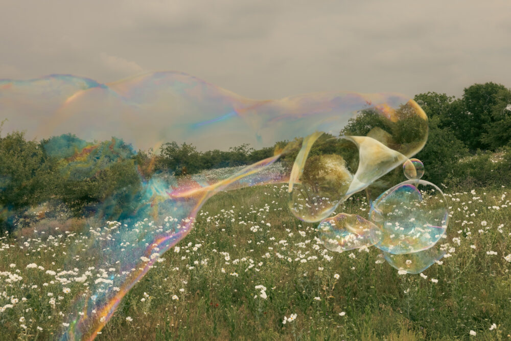 Ranch Bubbles and White Poppies